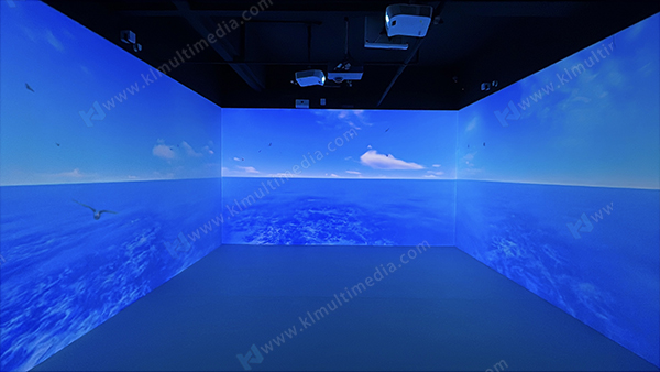 Морские волны и летающие птицы