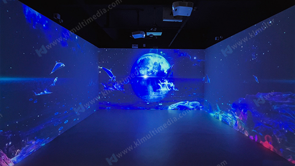 Звездный ночной дельфин