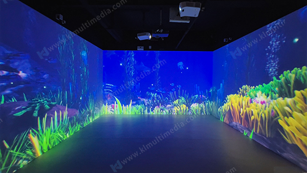 Стая рыб в море