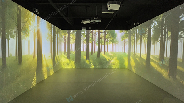 Сцена лесного дождя