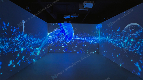 Мечтательная медуза