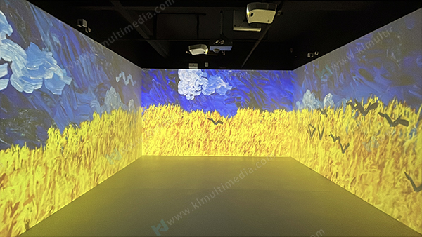 Вороны на пшеничном поле