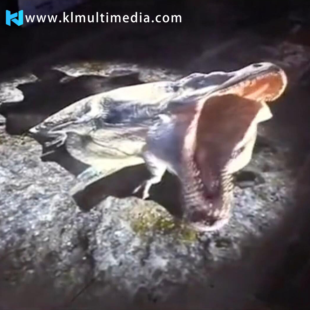 Захватывающий опыт динозавров