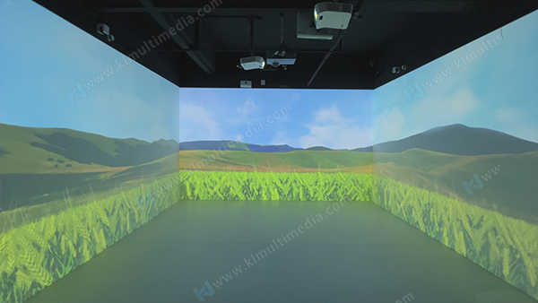 Пшеничное поле