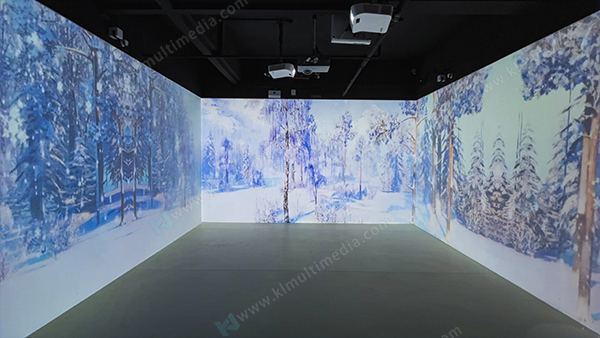 Снежная сцена