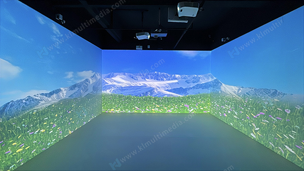 Летние луга