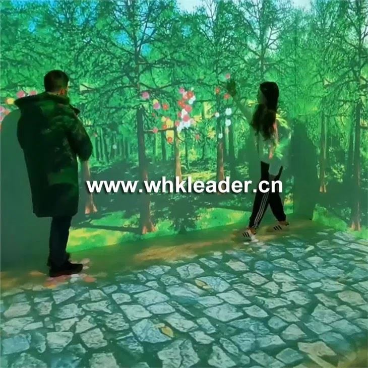 Иммерсивная проекция